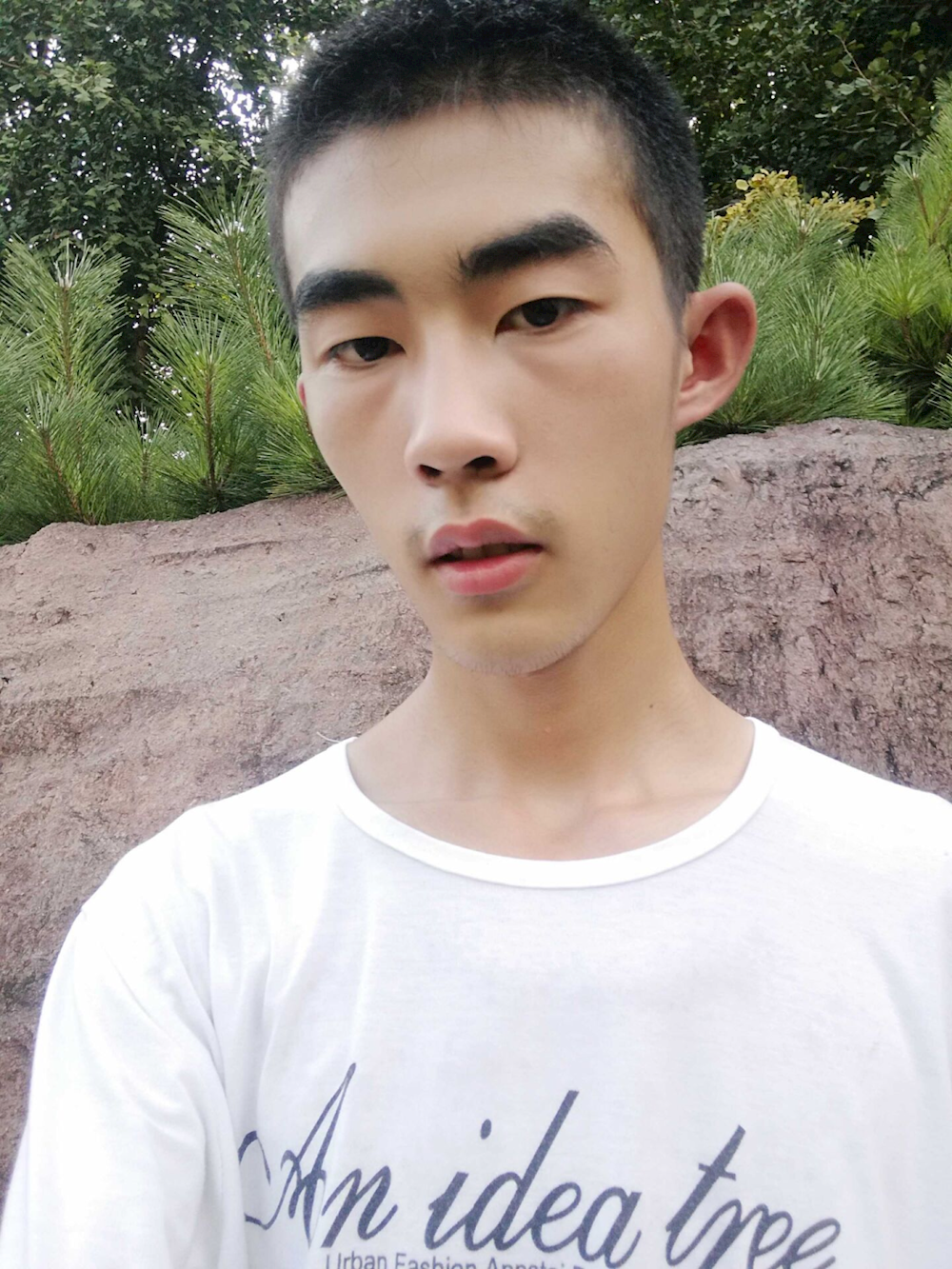 1502d125271544dfa0bb9af4e84bc59f.png 1502d125271544dfa0bb9af4e84bc59f.png