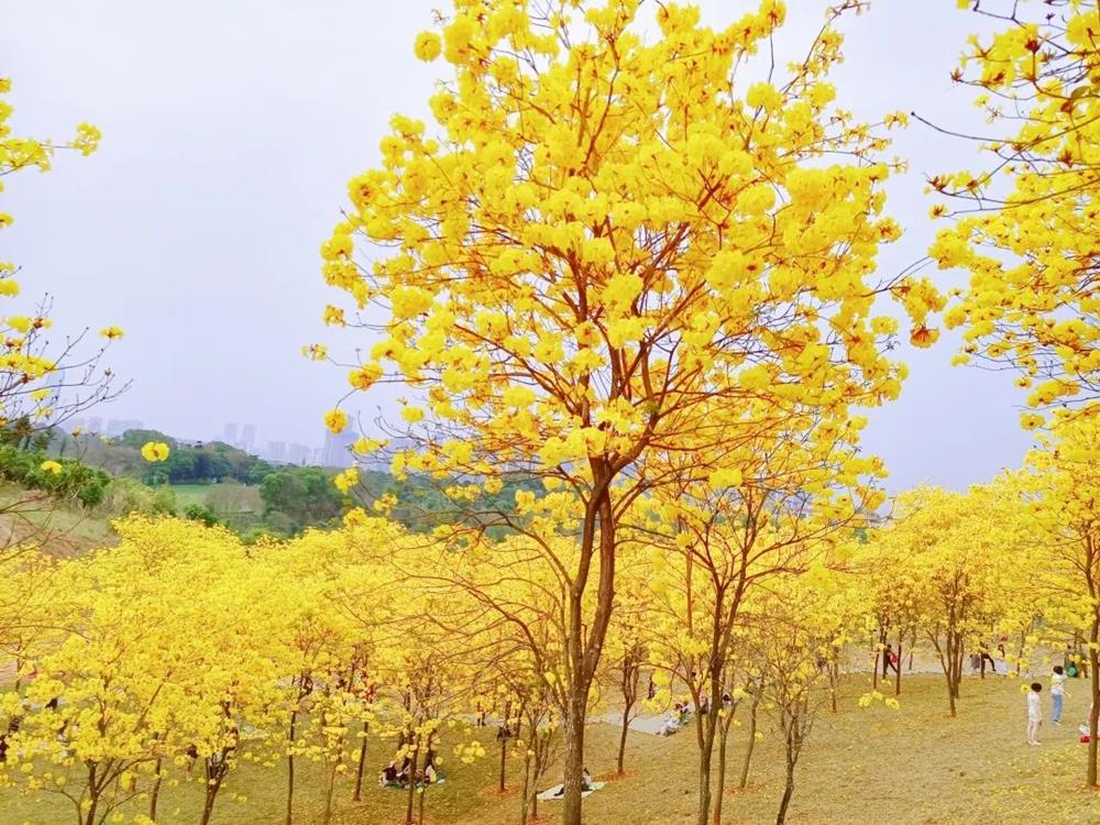 50f62c98f0824f9daf733e9a90bee8bc.jpg 50f62c98f0824f9daf733e9a90bee8bc.jpg