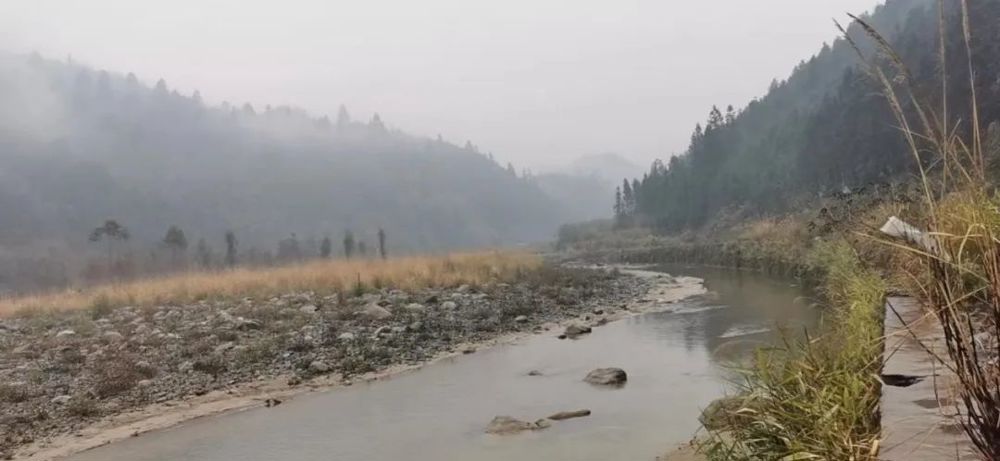 a687196845814394ac00a56193a5fac8.jpg a687196845814394ac00a56193a5fac8.jpg